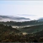 Brumes d'un matin d'automne