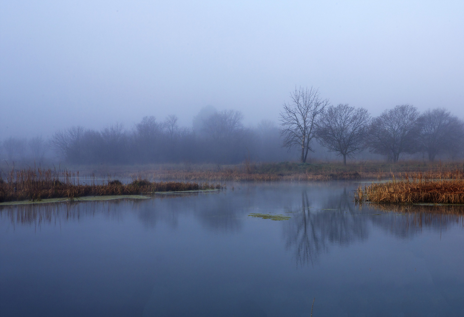 Brumes et brouillard ...