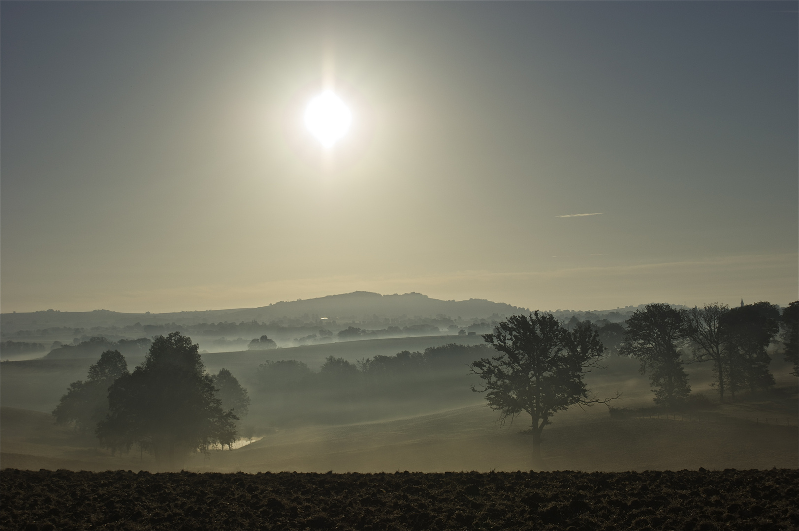 Brumes matinales