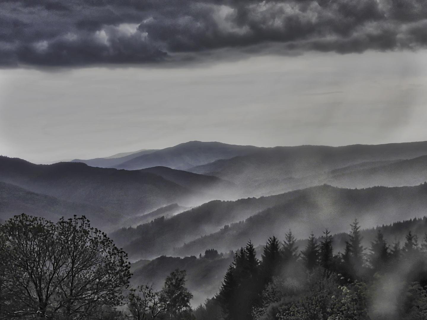 Brumes matinales sous la pluie.