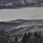 Brumes matinales sous la pluie.