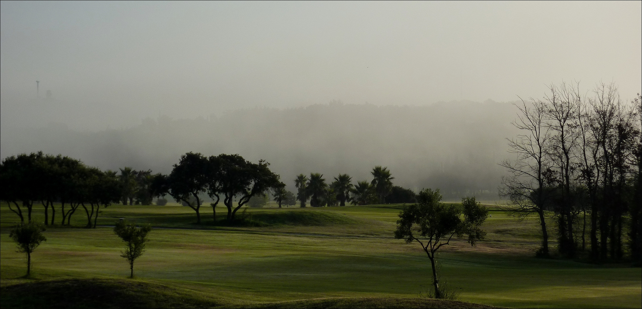 Brumes sur le golf