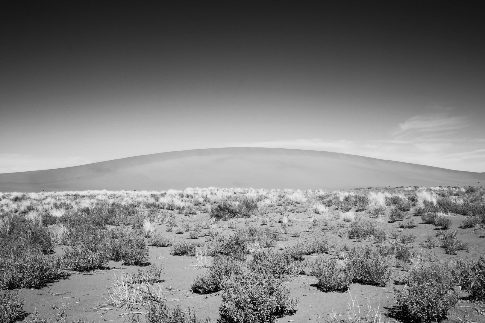 Bruneau Dunes