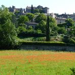 Bruniquel et son champ de coquelicots