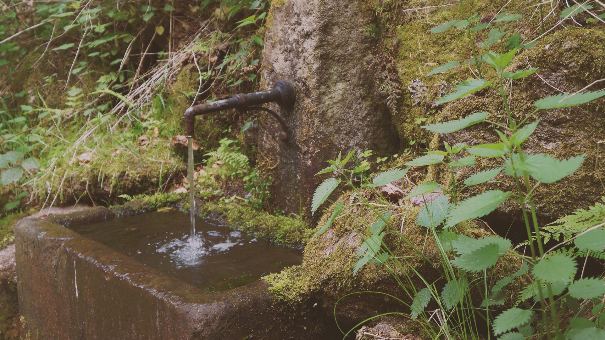 Brunnen