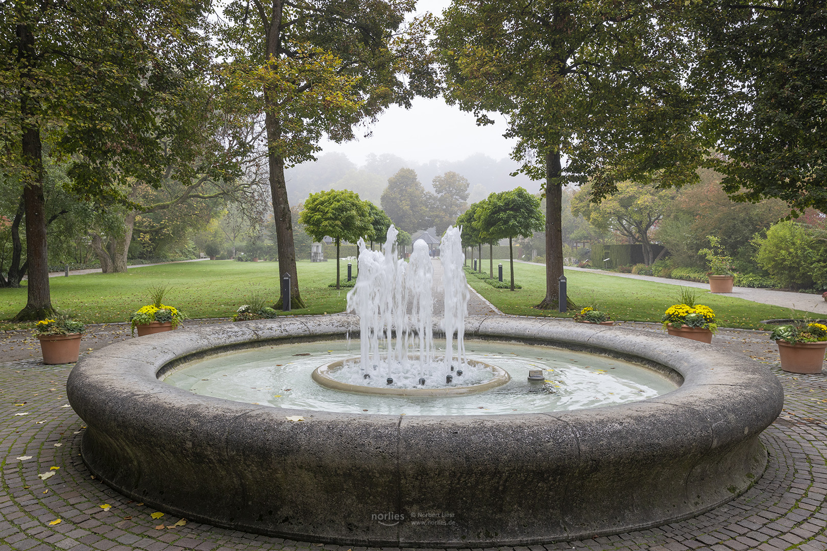 Brunnen am Eingang