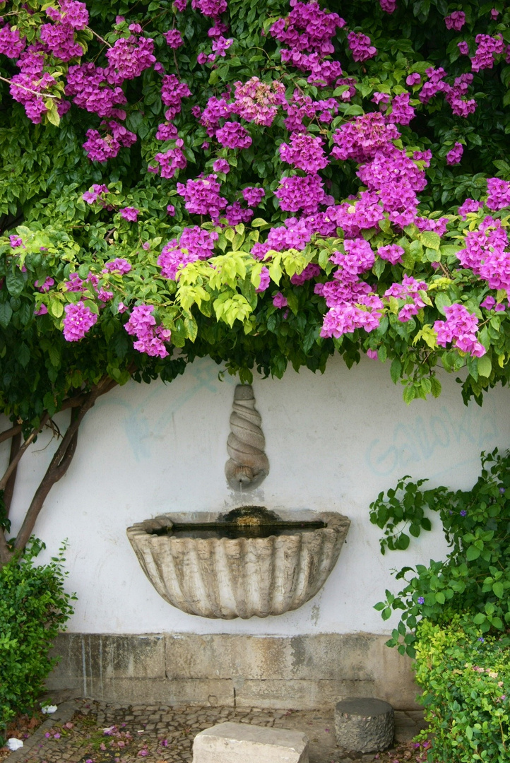 Brunnen am Miradouro de Santa Luzia, Lissabon