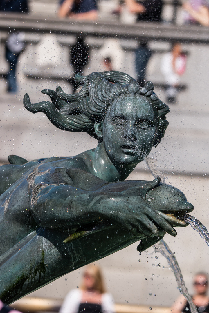 Brunnen am Trafalgar Square