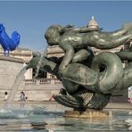 Brunnen am Trafalgar Square