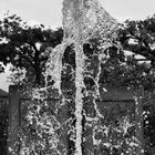 Brunnen an der Mainzer Rheingoldhalle