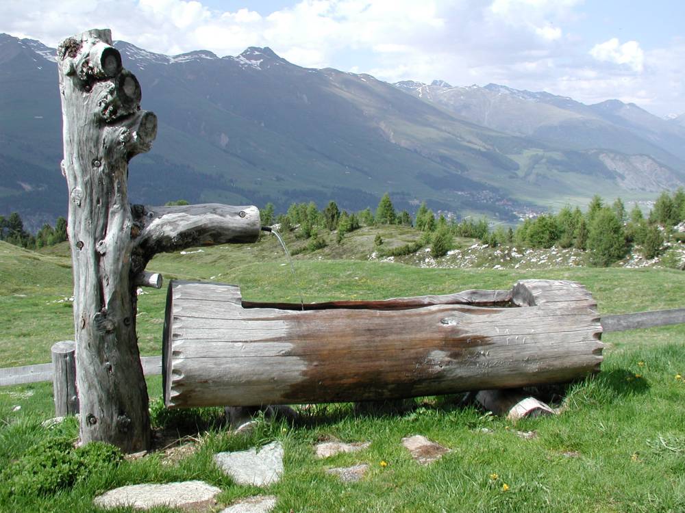 Brunnen auf Alp Müsella