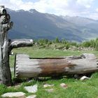 Brunnen auf Alp Müsella