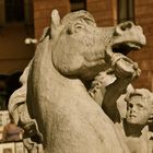 Brunnen auf dem Piazza Navona in Rom