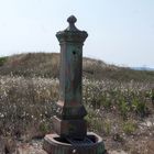 Brunnen bei Marina di Arborea