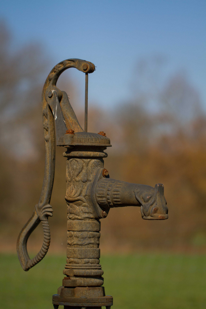 Brunnen bei uns im Garten