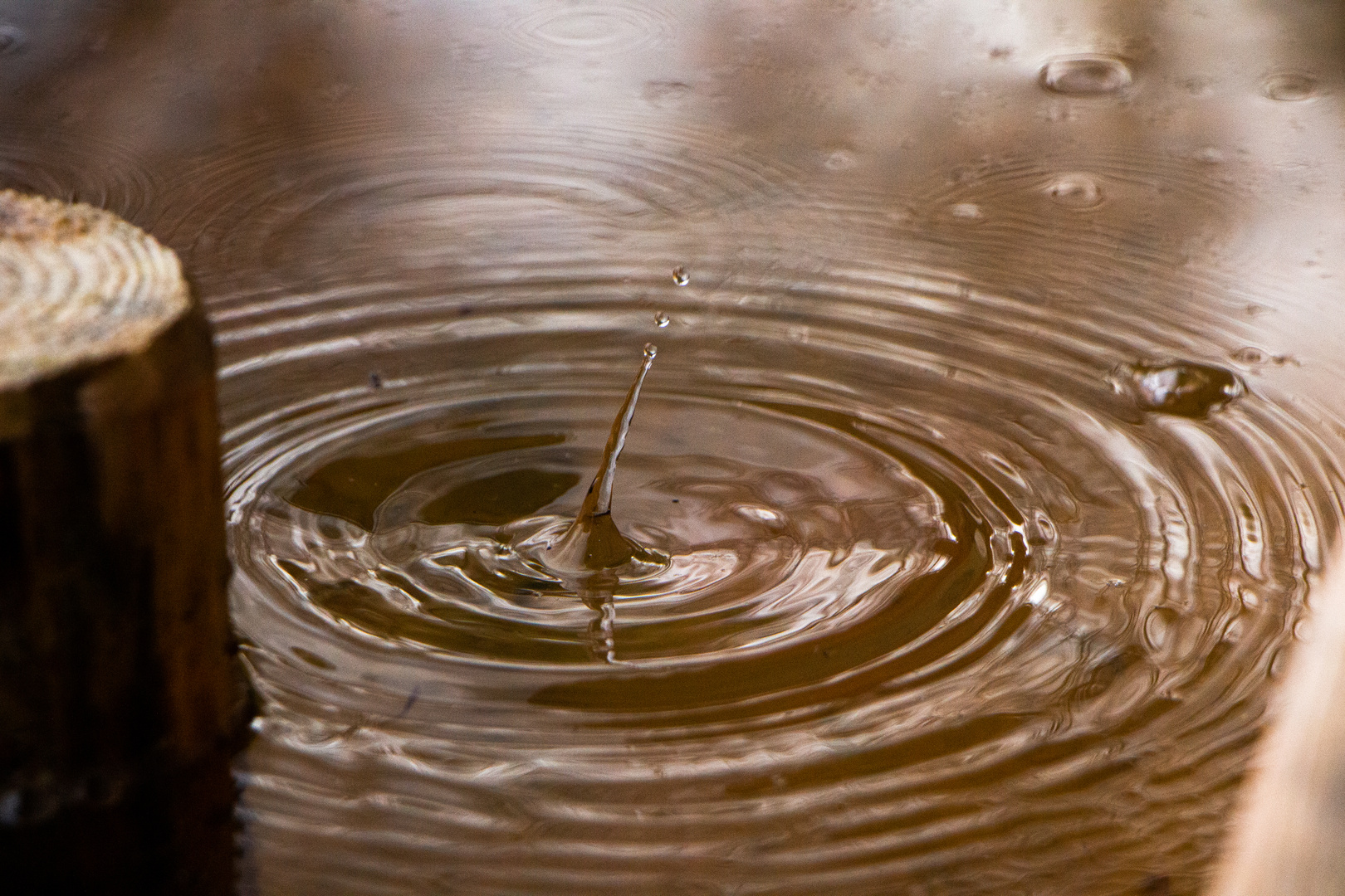 Brunnen Detail