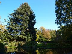 Brunnen hinterm Schloss