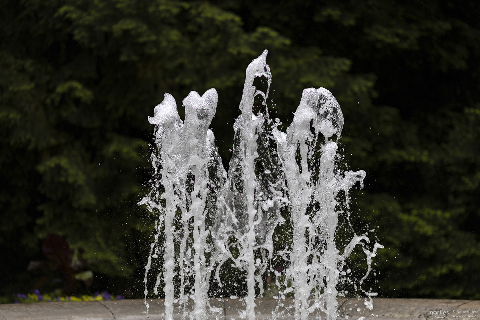 Brunnen im Botanischen Garten