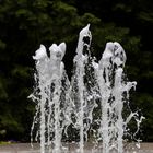 Brunnen im Botanischen Garten