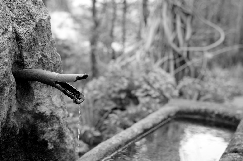 Brunnen im Botanischen Garten