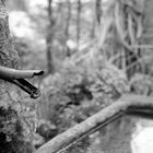 Brunnen im Botanischen Garten