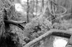 Brunnen im Botanischen Garten