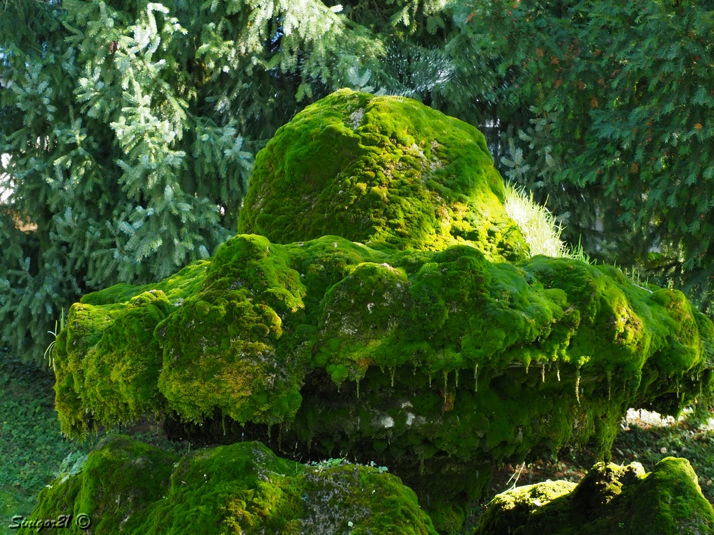 Brunnen im Garten bei Bled-See