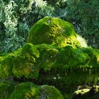 Brunnen im Garten bei Bled-See