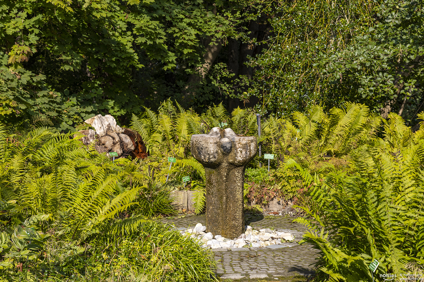 Brunnen im Grünen