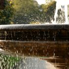 Brunnen im Hofgarten München