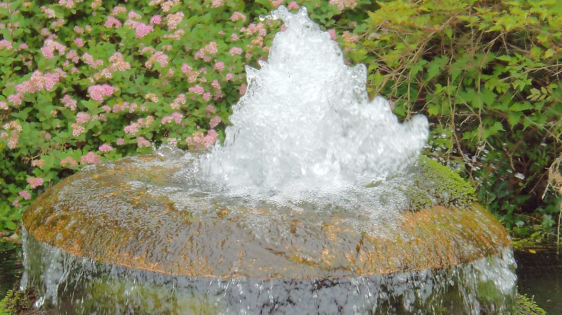 Brunnen im japanischen Garten