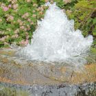 Brunnen im japanischen Garten