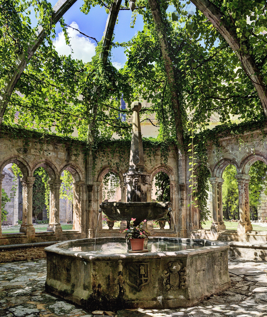 Brunnen im Kloster von Valmagne, Frankreich