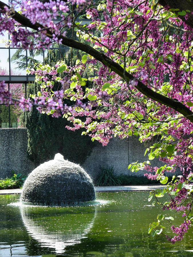 Brunnen im Kölner Rheinpark