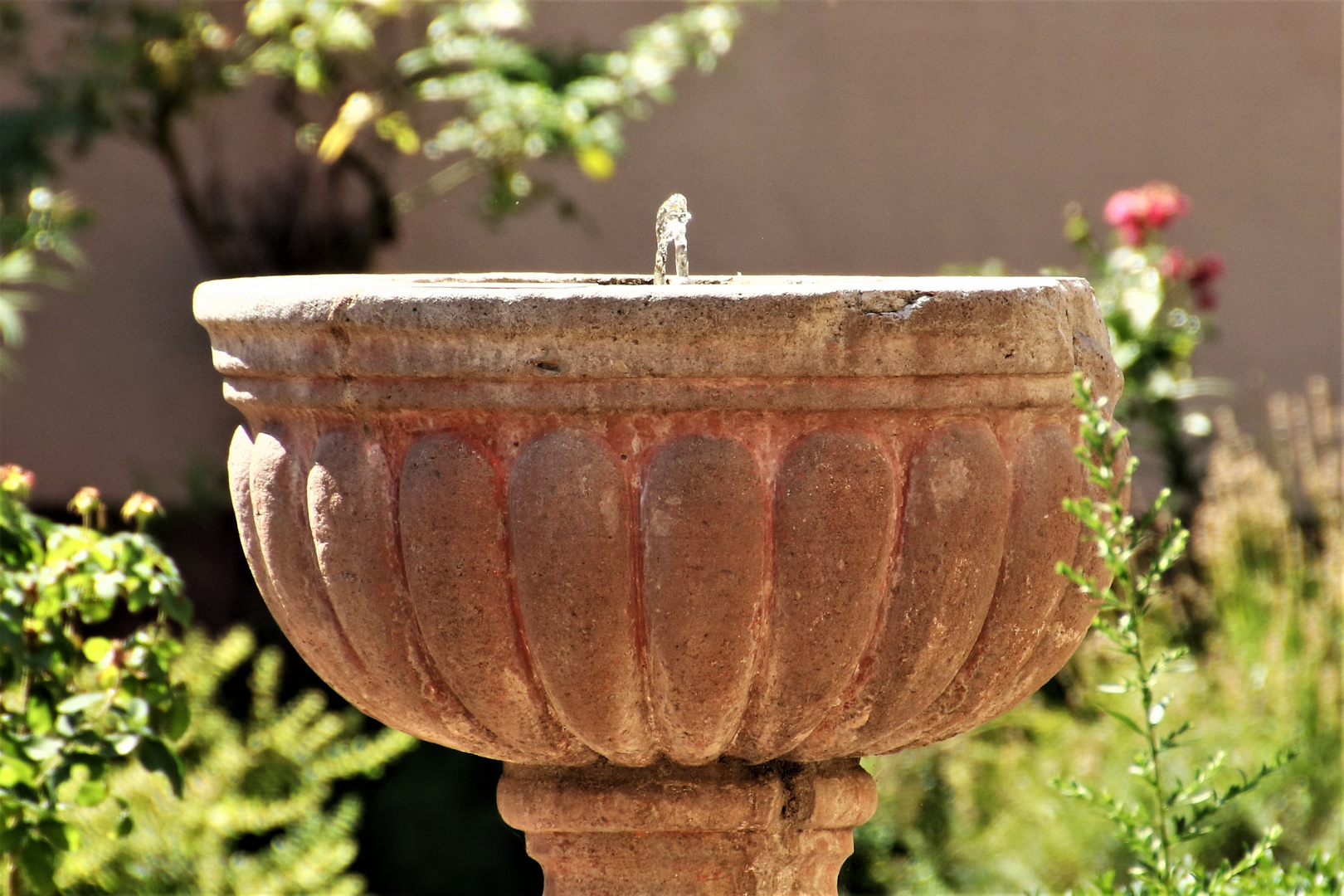 Brunnen im Kreuzgang