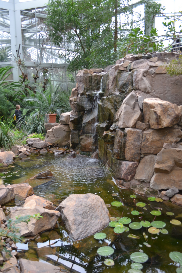 Brunnen im Palmengarten