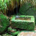 Brunnen im Schwarzwald