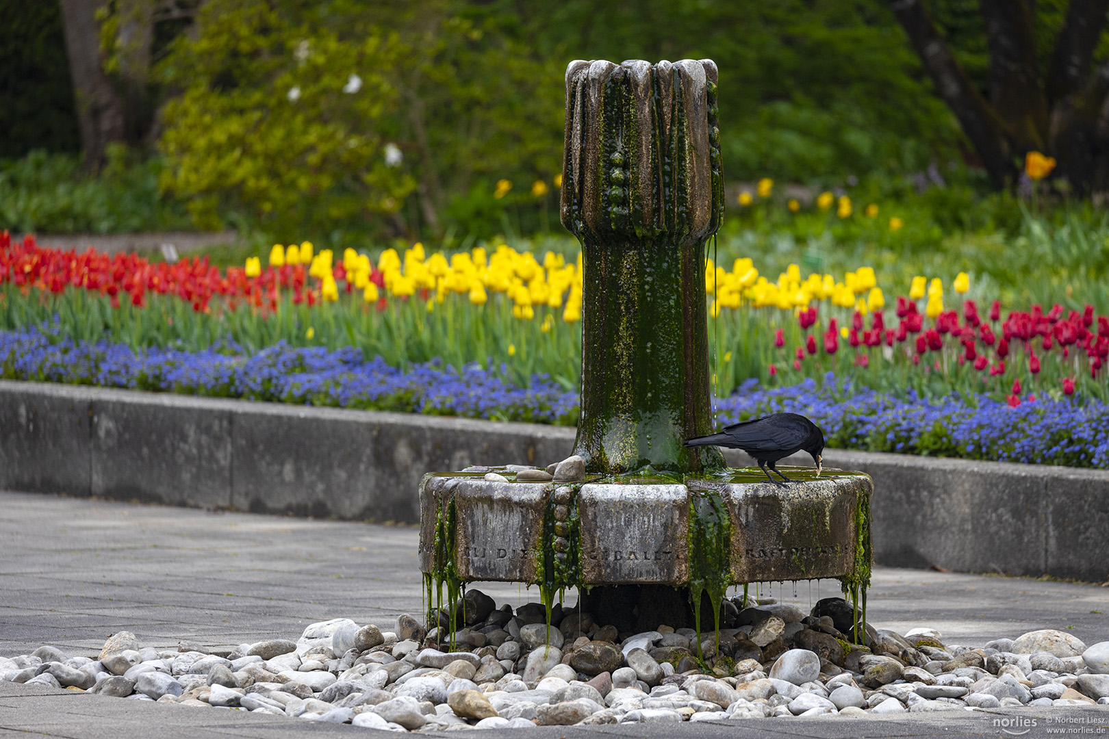 Brunnen im Senkgarten