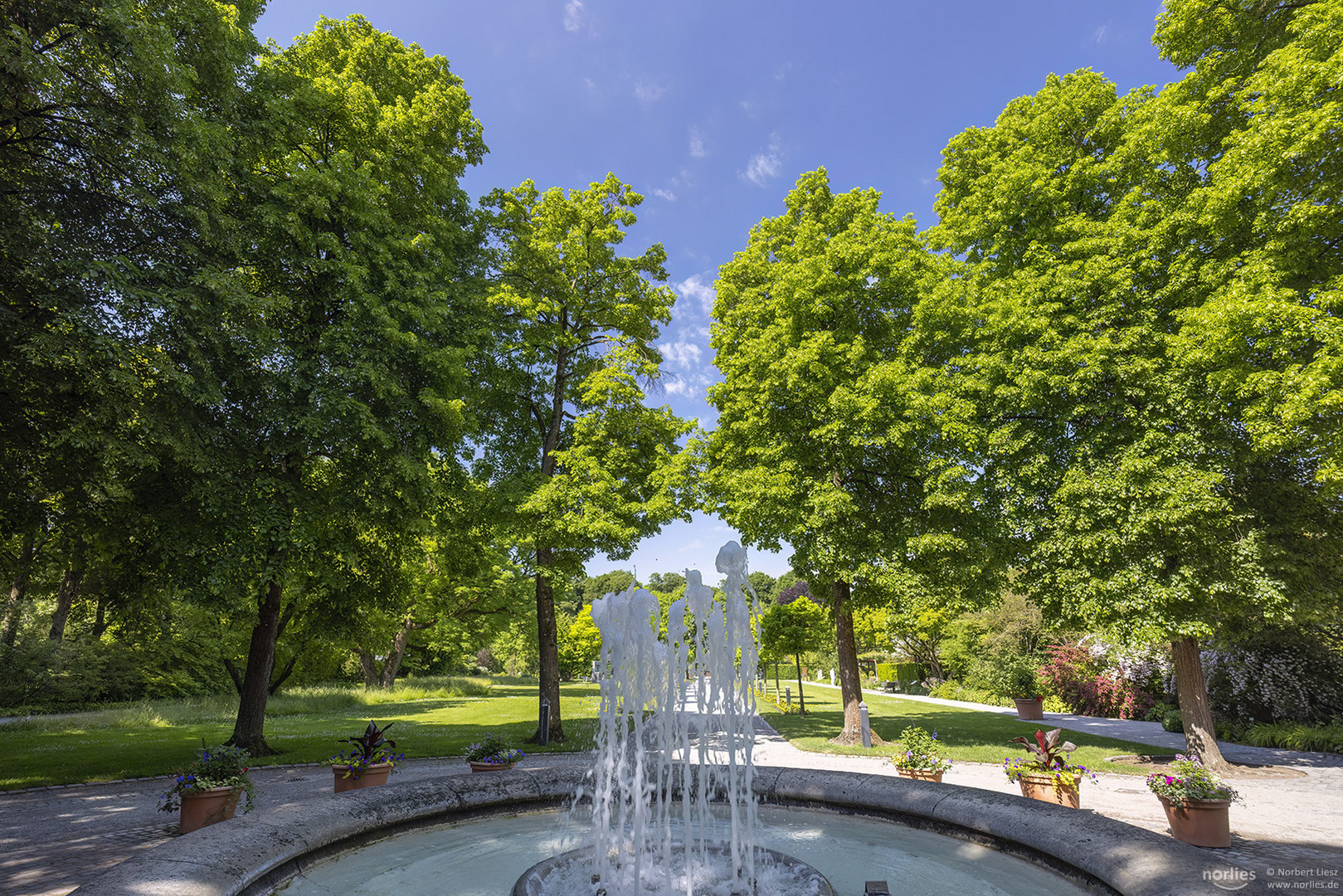 Brunnen im Sommer