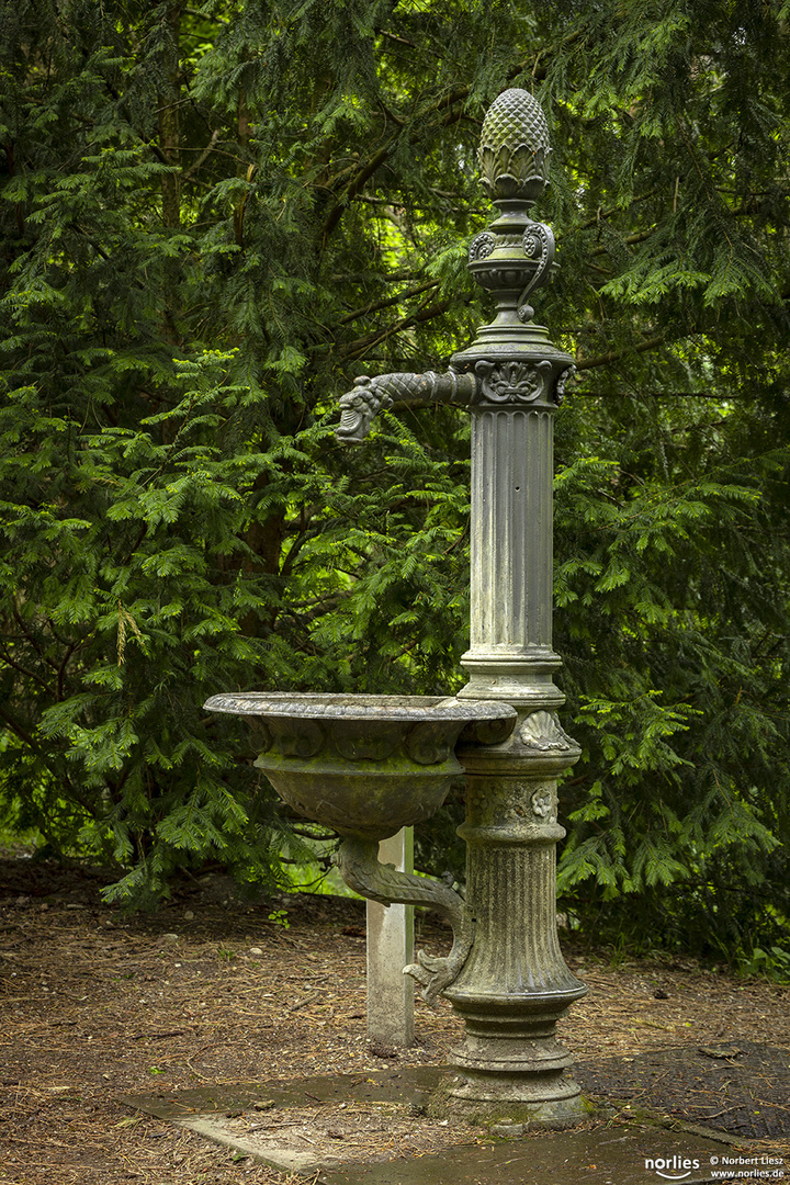 Brunnen im Stadtwald
