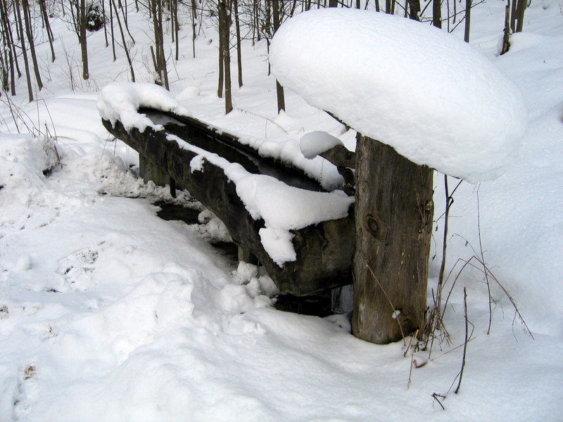 Brunnen im Winterschlaf