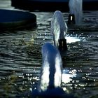 Brunnen in Aachen