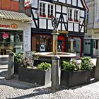 Brunnen in Bonn