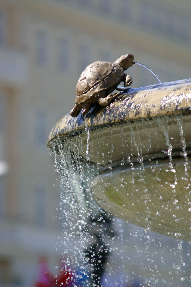 Brunnen in Bratislava