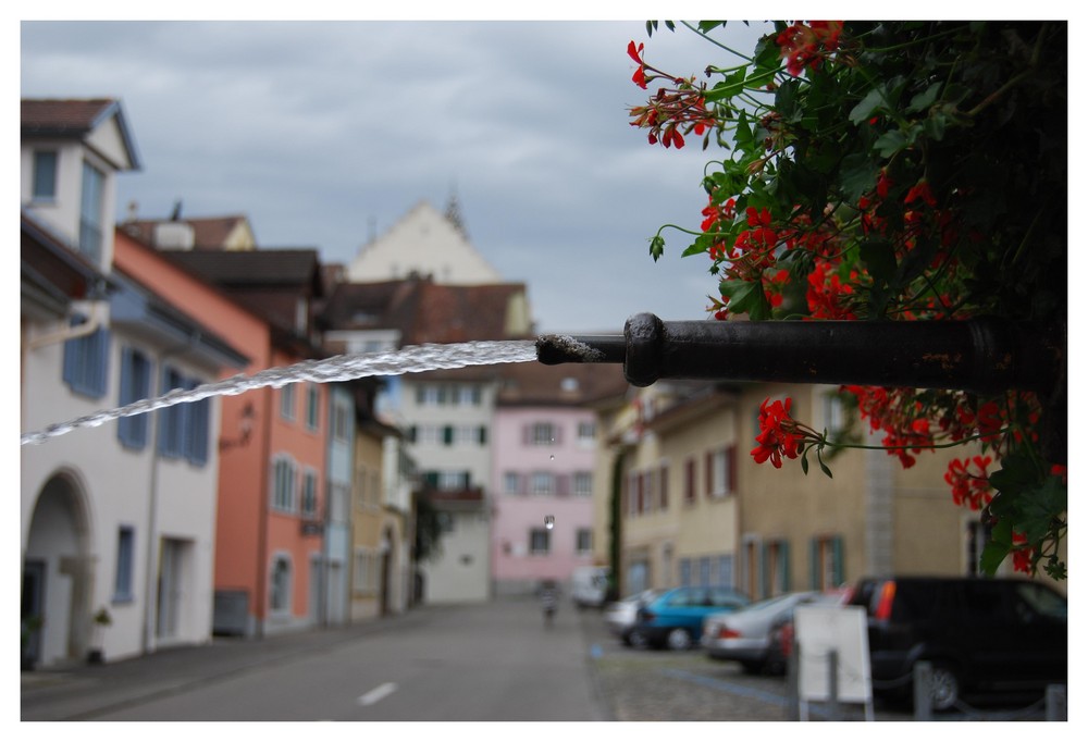 Brunnen in Bremgarten AG