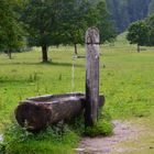 Brunnen in der Eng