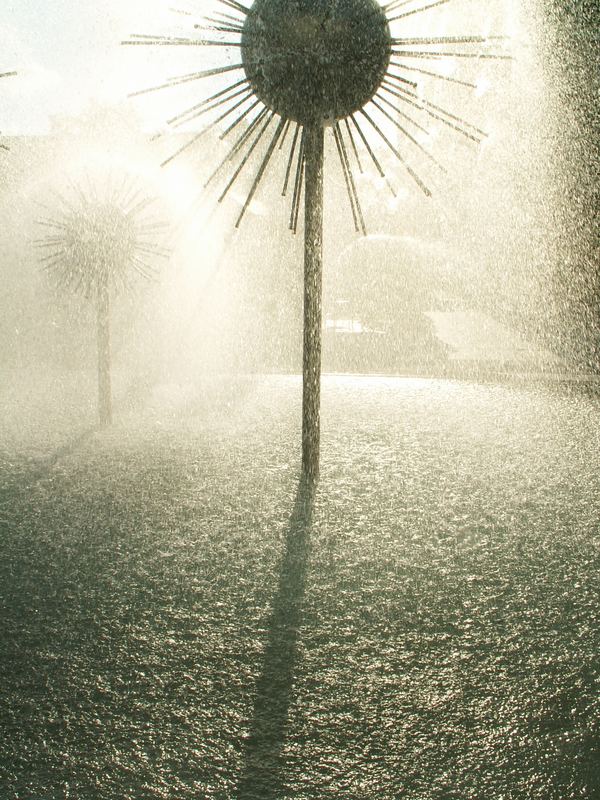 brunnen in dresden