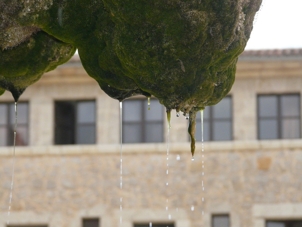 Brunnen in Lluc auf Mallorca