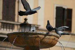 Brunnen in Rom