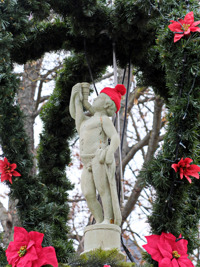 Brunnen in Schwabenheim im Winter 2018 004